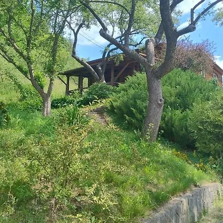 Country House Kosiv Hétvégi ház Kosziv