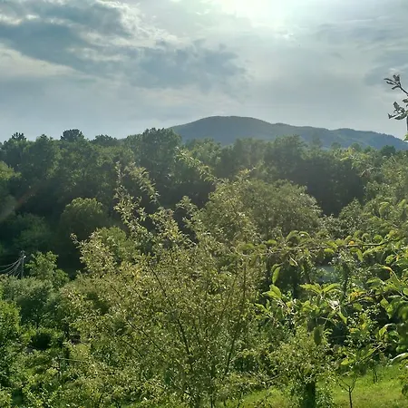 Country House Kosiv منزل ريفي