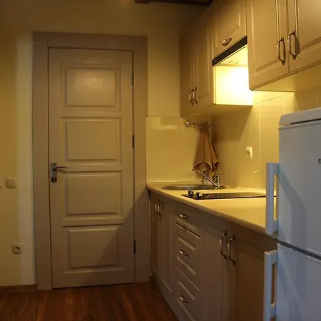 Country House Kosiv منزل ريفي