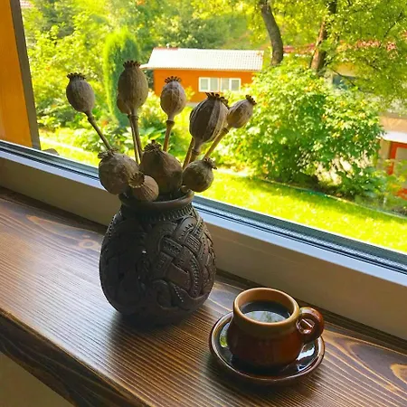 Country House Kosiv منزل ريفي