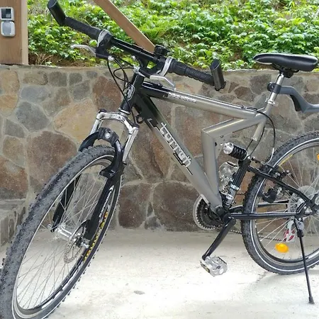 Country House Kosiv منزل ريفي كوسيف